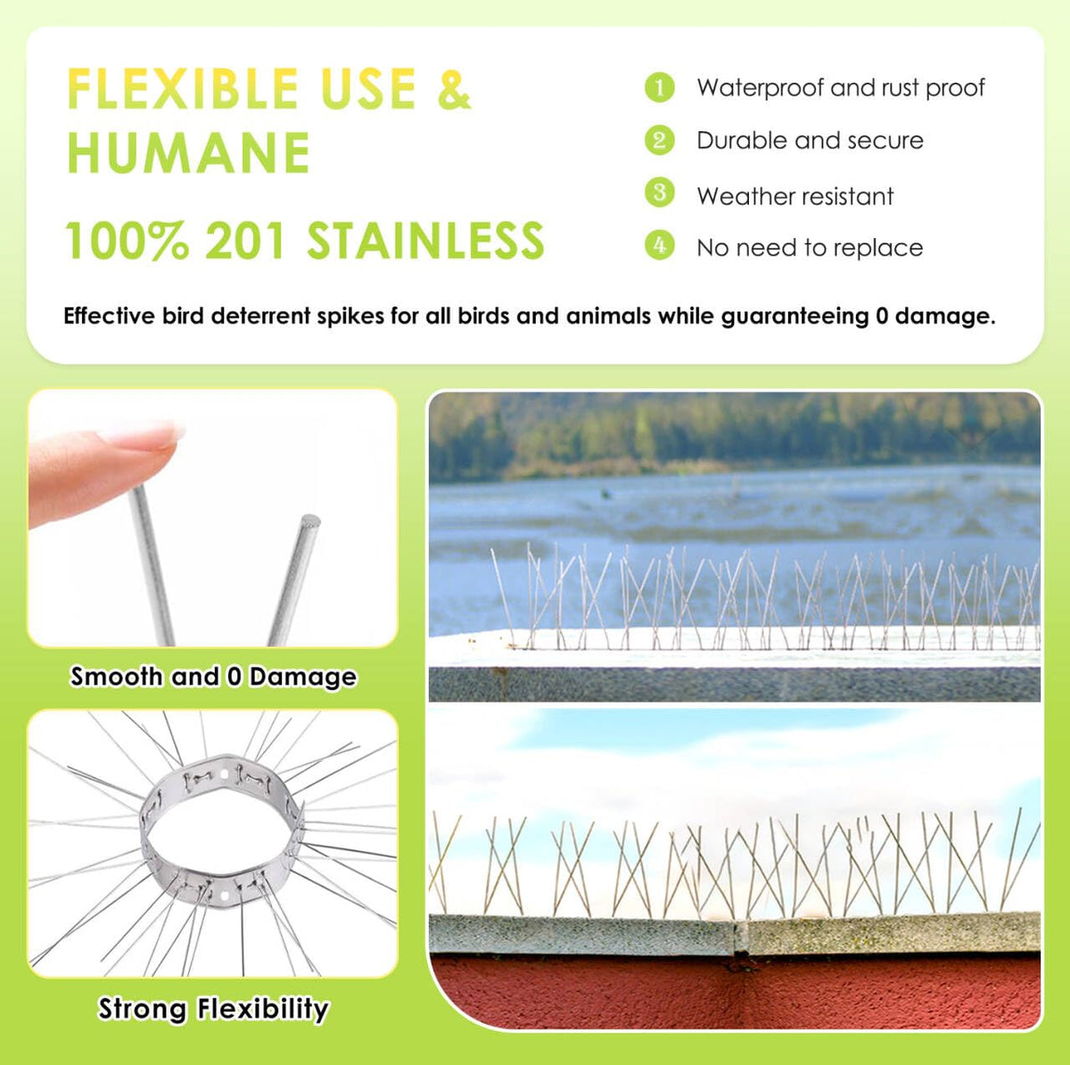 Valibe spikes on concrete surface deliver weatherproof bird deterrence
