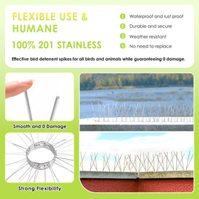 Valibe spikes on concrete surface deliver weatherproof bird deterrence