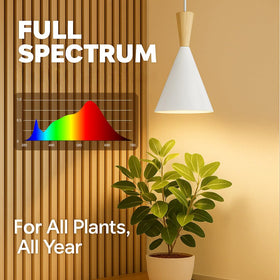 VALIKIY hanging grow light with 3000K warm glow creates cozy spaces for plants