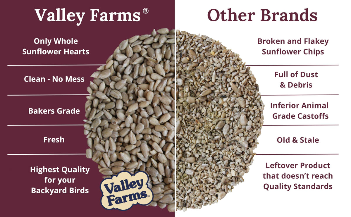 Valley Farms sunflower hearts attract songbirds to the feeder.