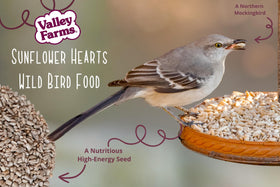 Valley Farms sunflower hearts are ideal for outdoor feeders.