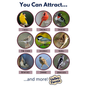 Valley Farms no-shells sunflower hearts keep feeders tidy.