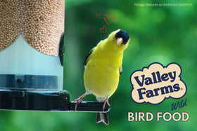 Valley Farms White Millet blended with other seeds to customize backyard bird food.