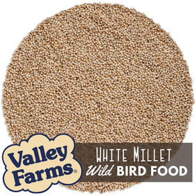 Valley Farms White Millet in a tube feeder port attracting finches.