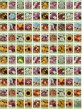 Valley Greene 100-seed packets assortment for a colorful, year-round garden