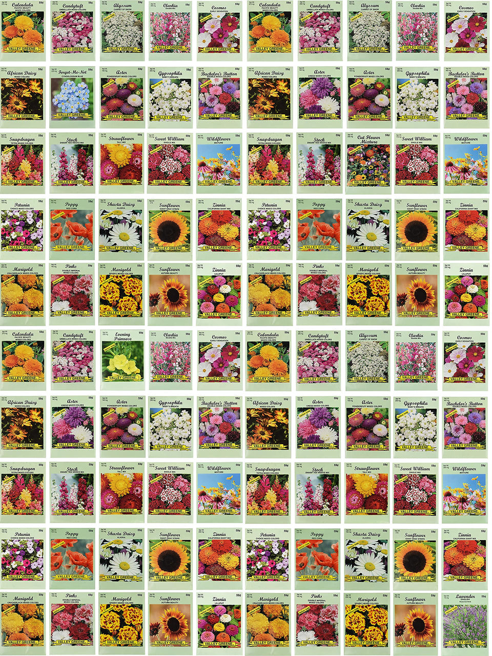 Valley Greene 100-seed packets assortment for a colorful, year-round garden