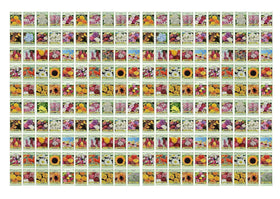 Valley Greene 200-seed packets front view for bulk garden planning