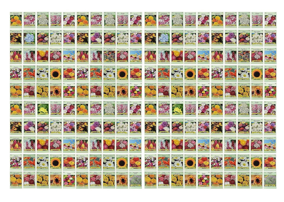 Valley Greene 200-seed packets front view for bulk garden planning