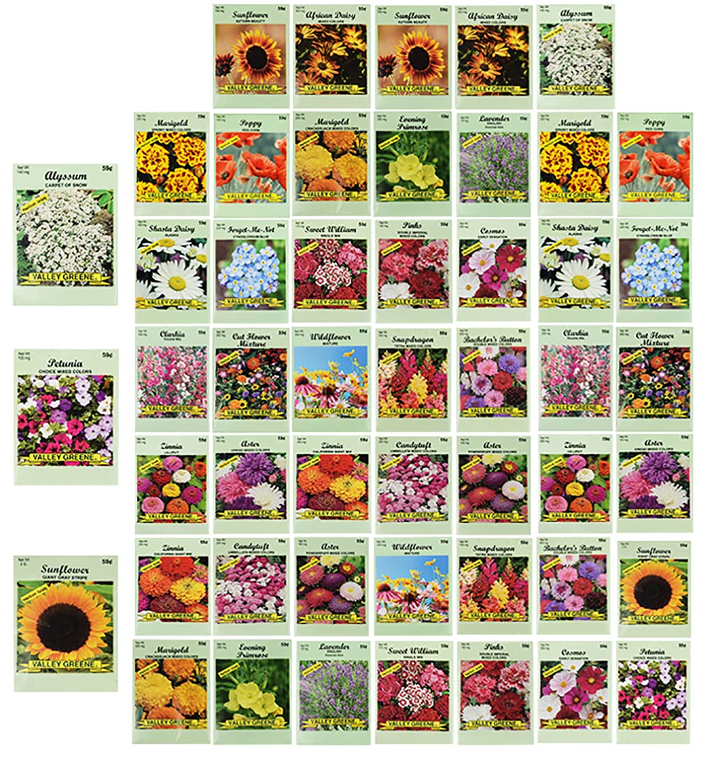 Valley Greene 50 assorted flower seed packets for colorful, pollinator-friendly gardens