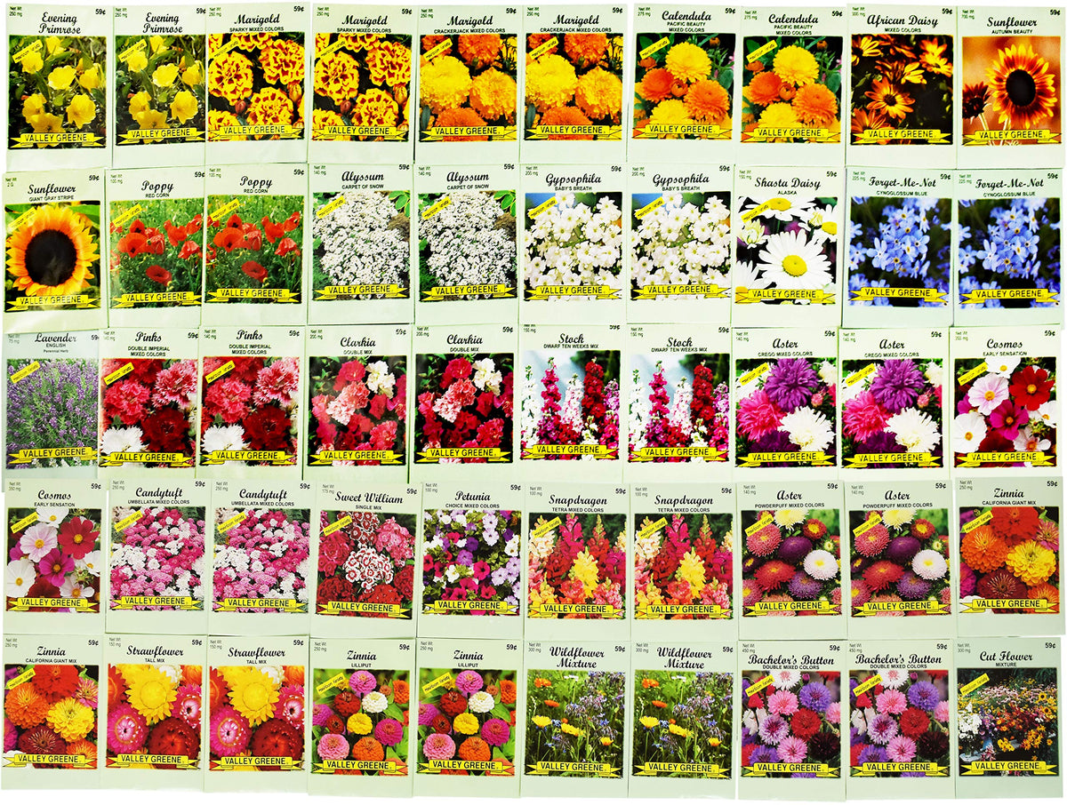 Valley Greene assorted flower seeds bulk for backyard planting and seasonal color