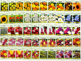 Valley Greene assorted flower seeds bulk for backyard planting and seasonal color