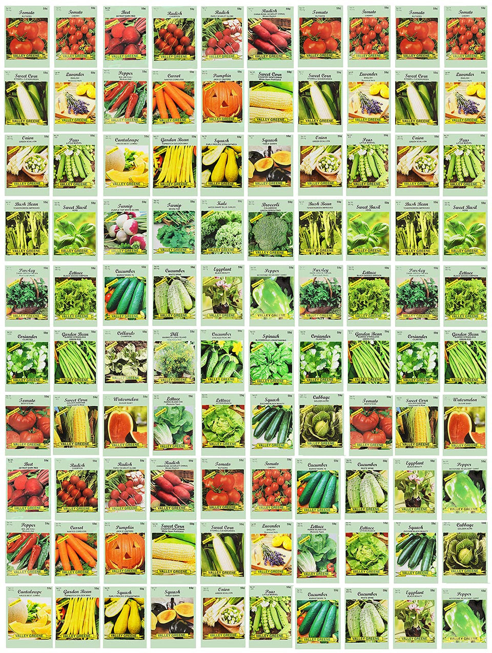 Valley Greene heirloom seed packs displaying diverse varieties for home gardens.