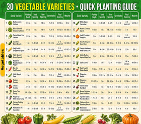 Valley Greene heirloom seeds with a germination chart for planning.