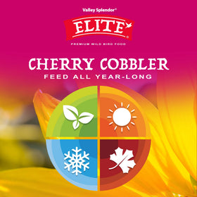 Valley Splendor Cherry Cobbler offers peanut pieces for feathered protein.