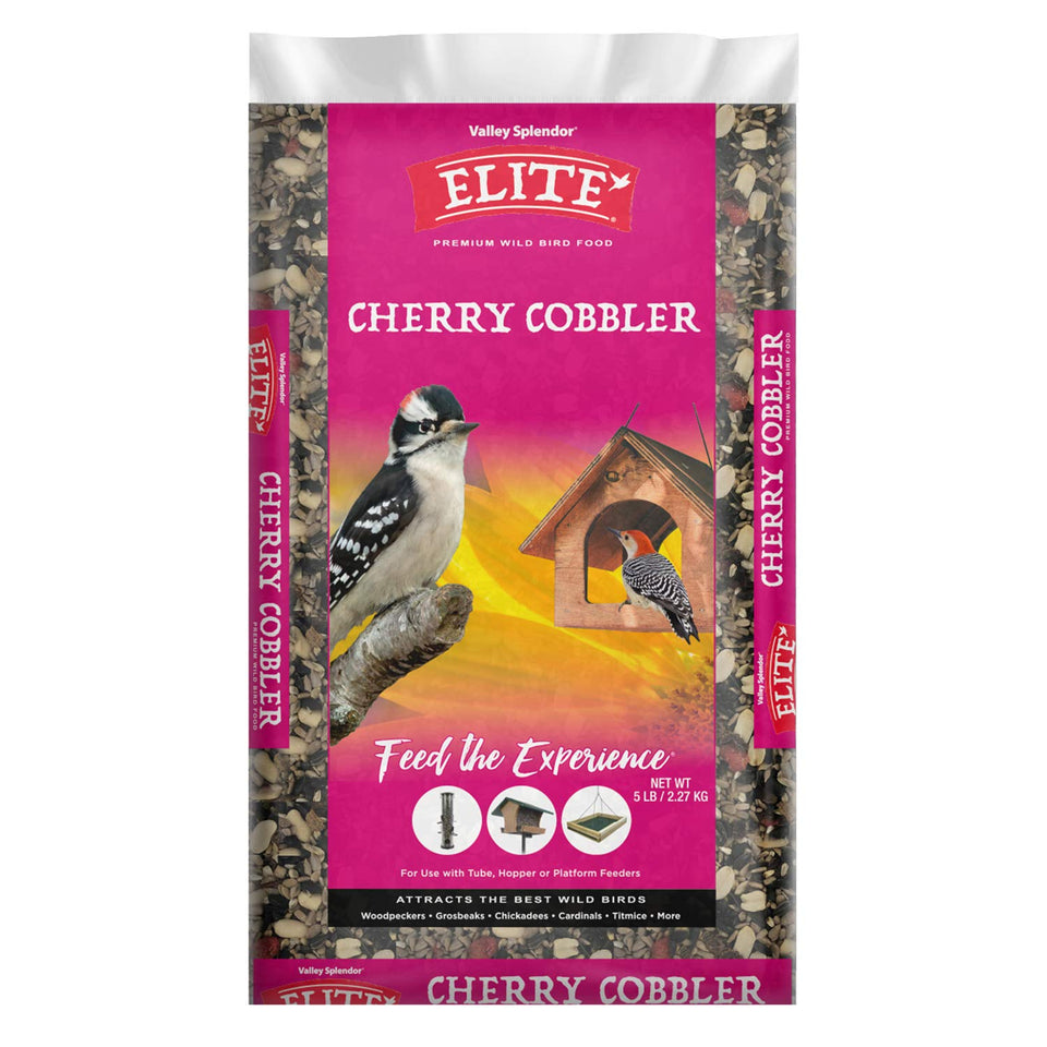 Valley Splendor Cherry Cobbler seeds and berries attract birds and boost feeder visits.