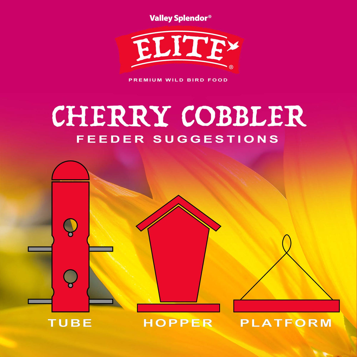 Valley Splendor Cherry Cobbler uses dried cherries to entice fruit-loving birds.