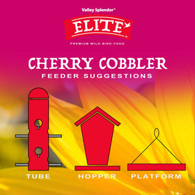 Valley Splendor Cherry Cobbler uses dried cherries to entice fruit-loving birds.