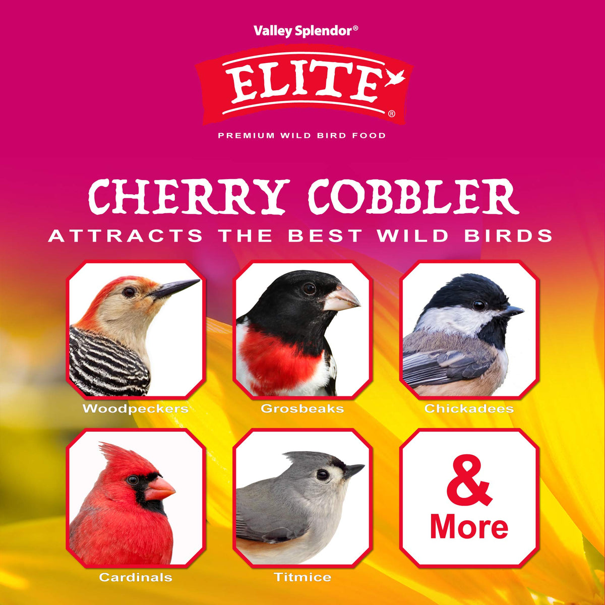 Valley Splendor Cherry Cobbler with sunflower kernels provides energy for backyard birds.