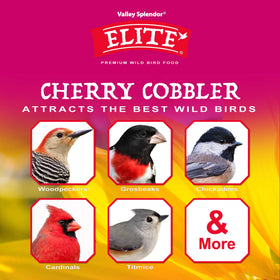 Valley Splendor Cherry Cobbler with sunflower kernels provides energy for backyard birds.
