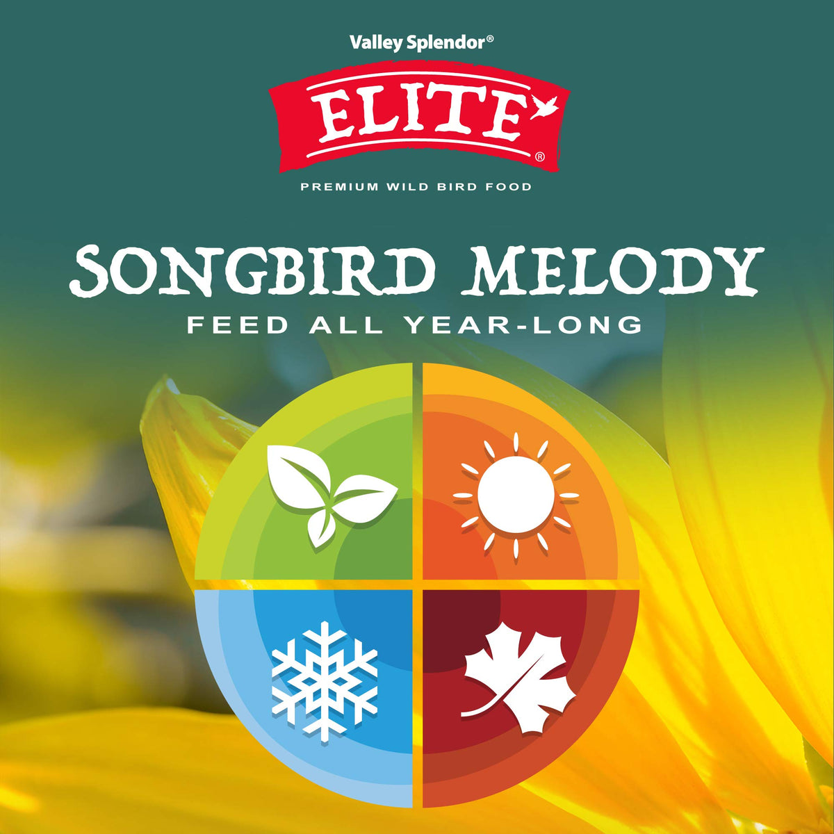 Valley Splendor Songbird Melody feeder scene with diverse birds at feeder