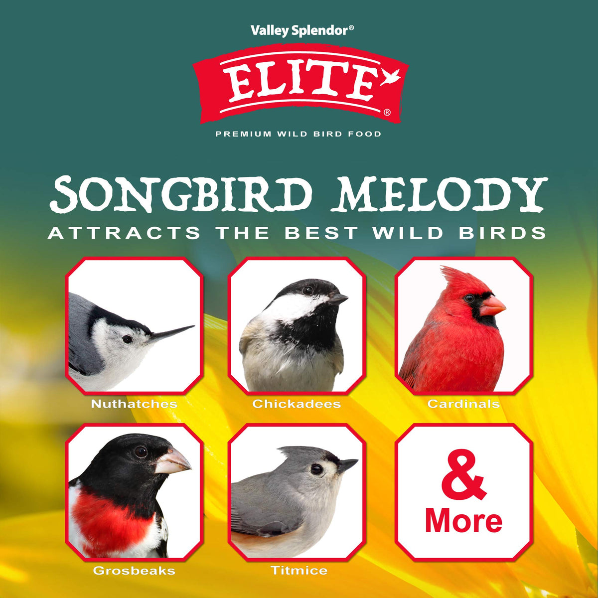 Valley Splendor Songbird Melody ingredients close-up shows seed mix for healthy birds