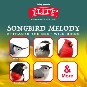 Valley Splendor Songbird Melody ingredients close-up shows seed mix for healthy birds