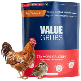 Value Grubs BSF larvae in a resealable bag for protein-packed chicken feed.