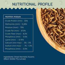 Value Grubs BSF larvae in coop setup for active, lively birds.