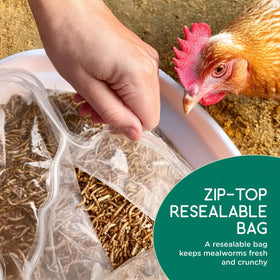 Value Grubs resealable bag shown for freshness and mess-free feeding.