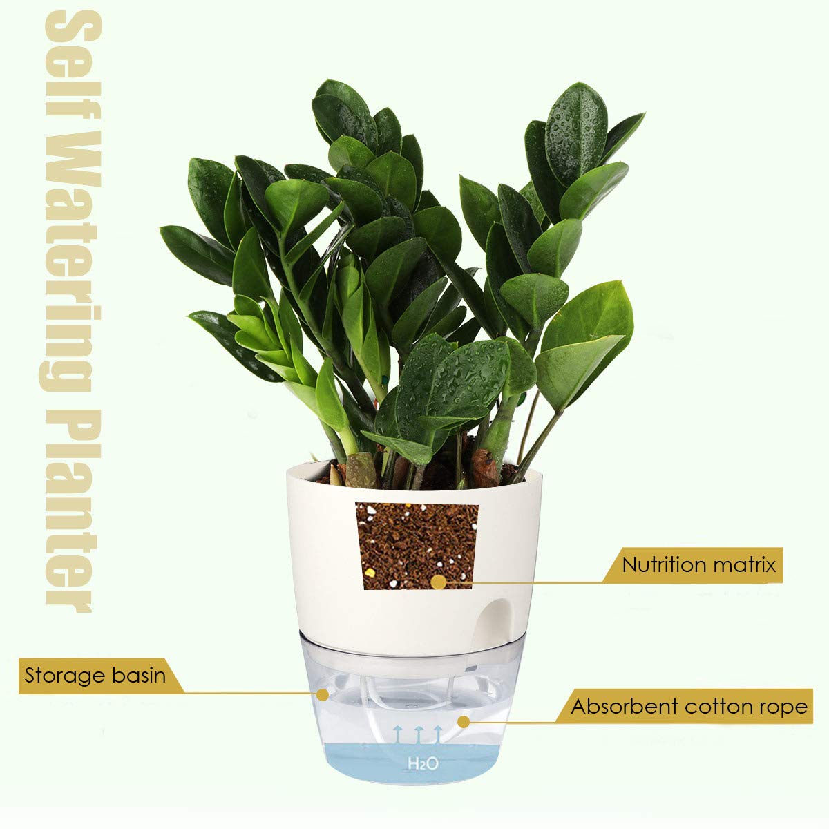 Vanavazon 3-pack African violet pots for coordinated display
