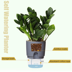 Vanavazon 3-pack self-watering planters in grey for indoor violets
