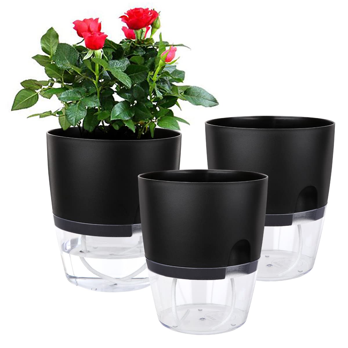 Vanavazon 6-inch self-watering planter top view with wick rope for steady hydration