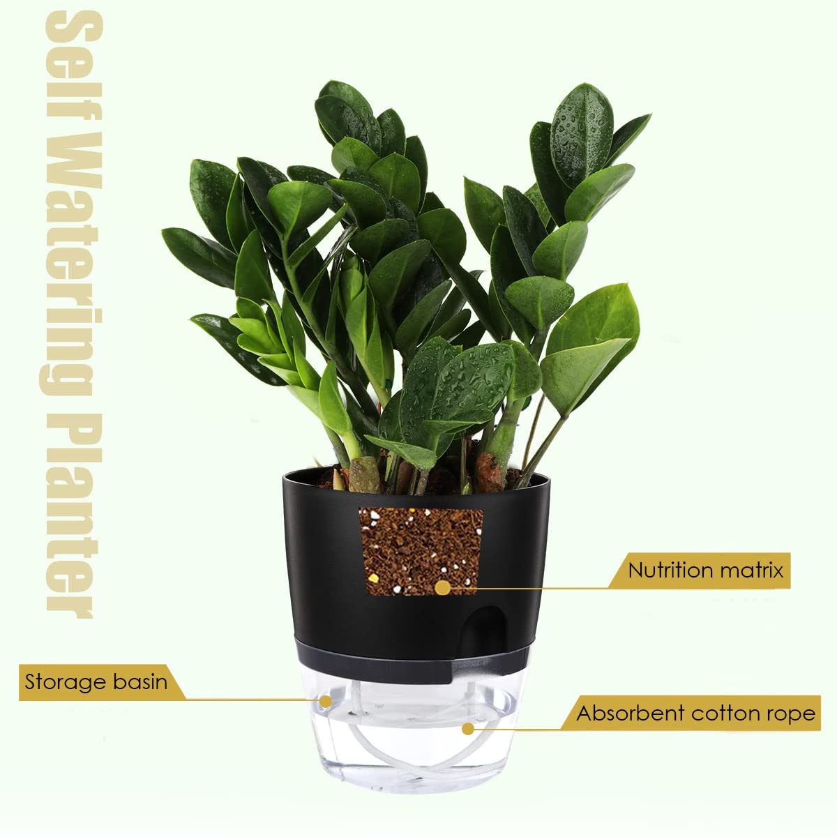 Vanavazon African violet pot with wick rope close-up showing easy watering