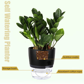 Vanavazon African violet pot with wick rope close-up showing easy watering