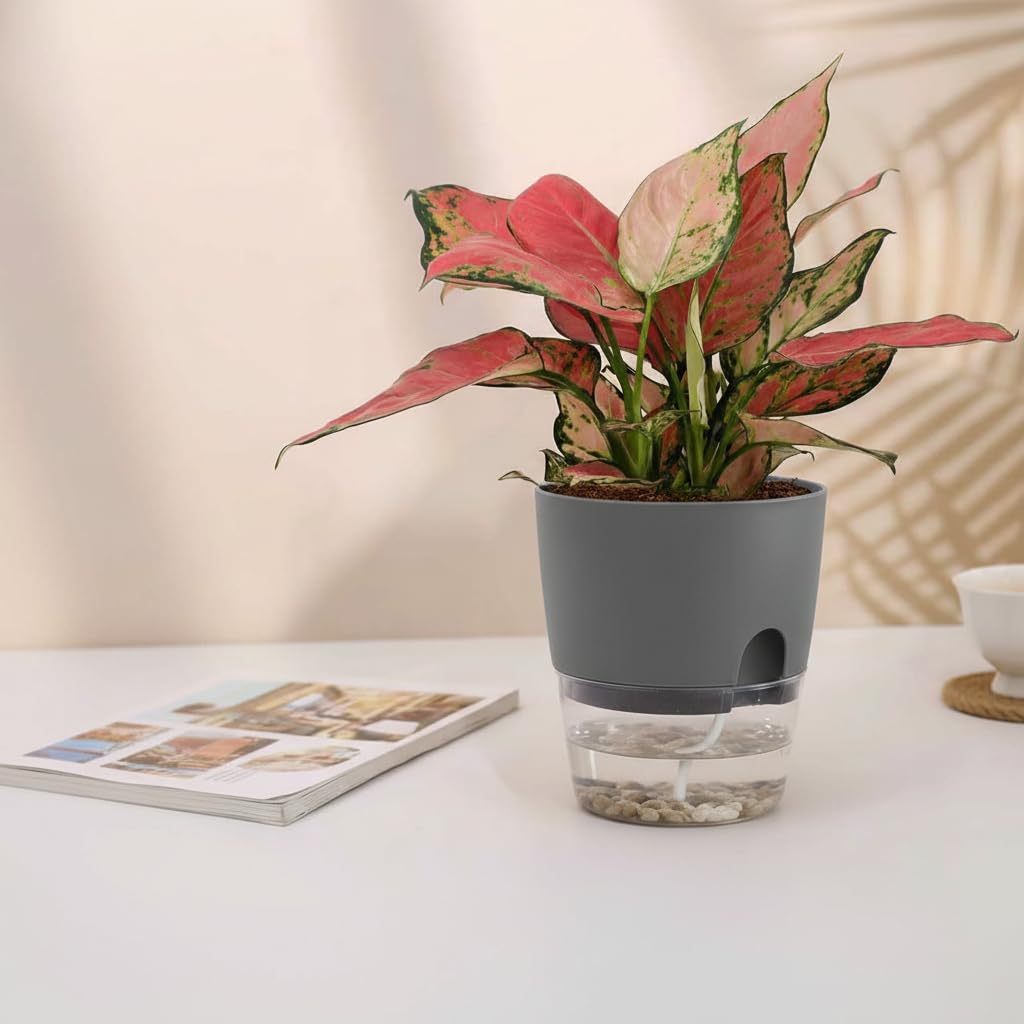 Vanavazon African violet pot with wick rope in grey detail