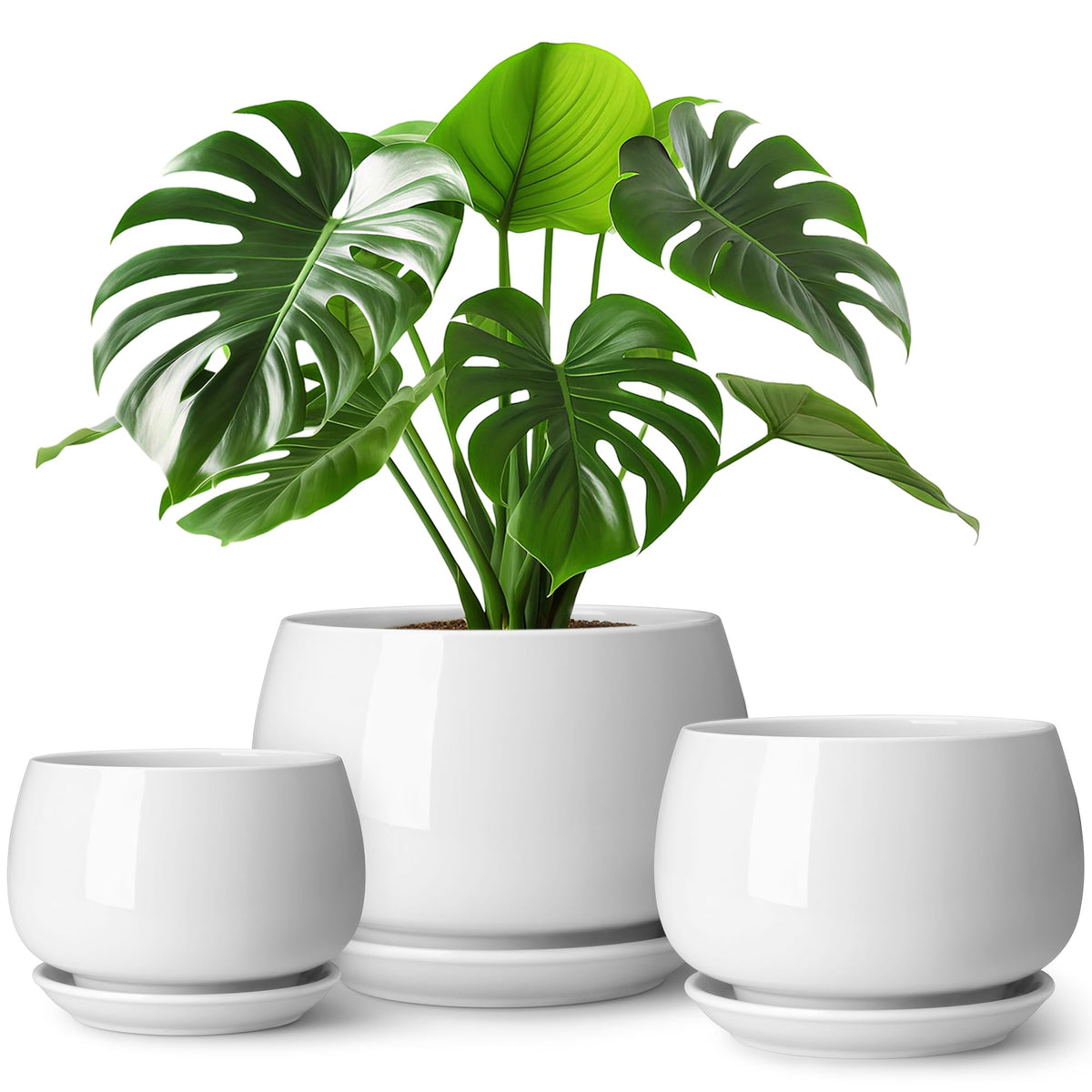 Vancasso 3-pack ceramic planters arranged in a cohesive trio for indoors styling.