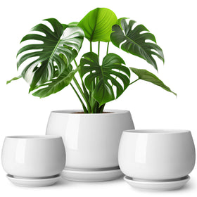 Vancasso 3-pack ceramic planters arranged in a cohesive trio for indoors styling.