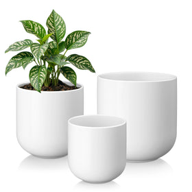 Vancasso 6-inch ceramic pot with drainage holes for healthier root growth.