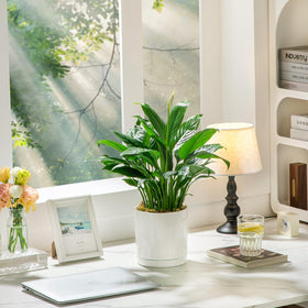 Vancasso attached tray design keeps surfaces dry after watering