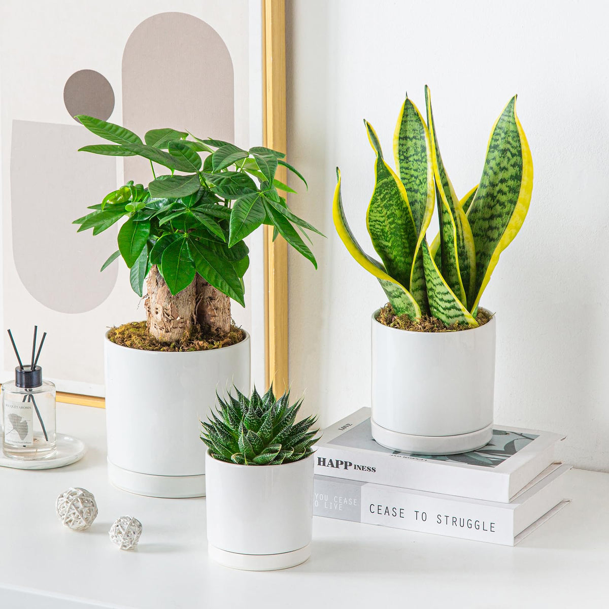 Vancasso balanced sizes fit tabletops shelves and patios