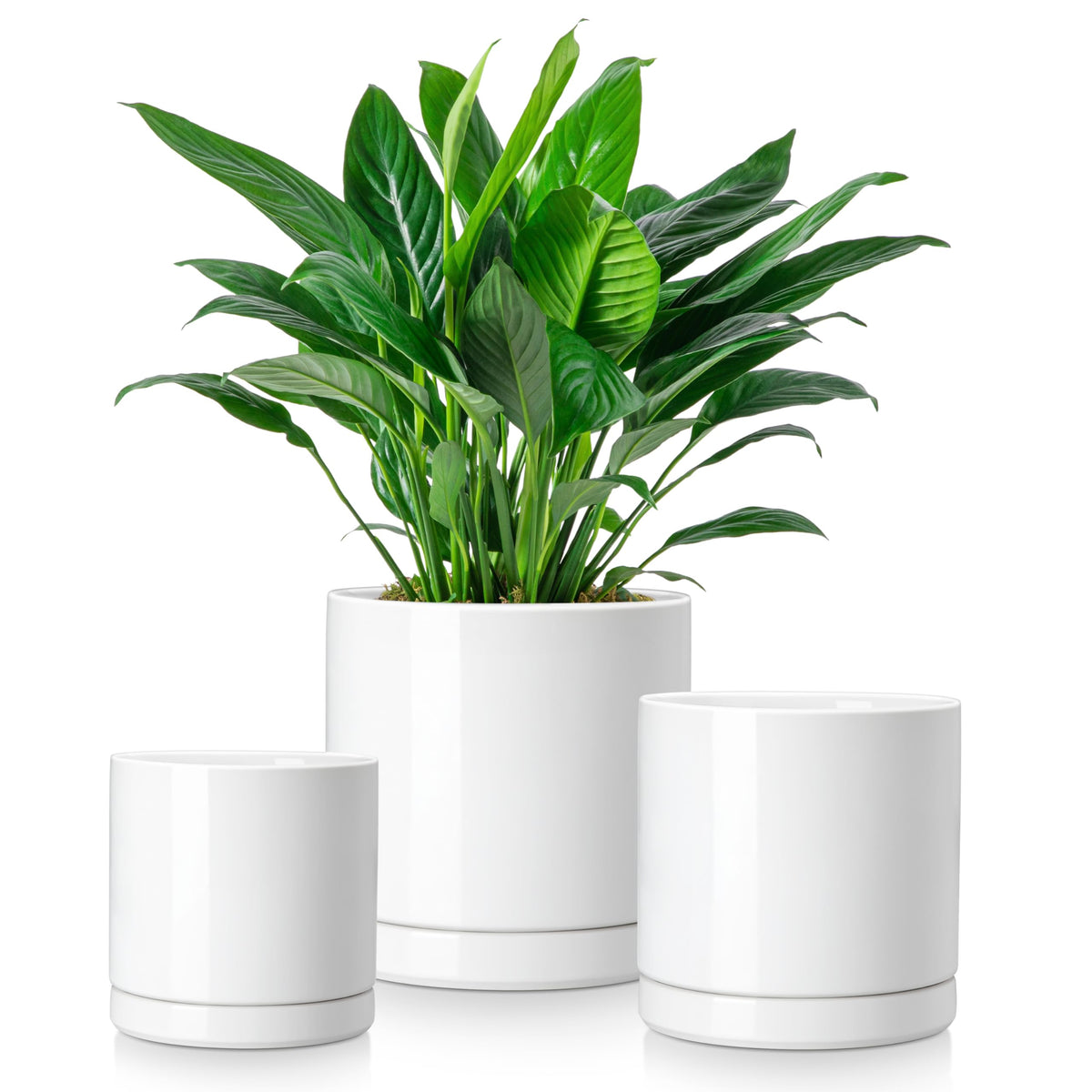 Vancasso ceramic plant pots 3-piece set white close-up of glaze and edges