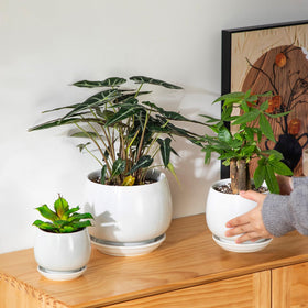 Vancasso ceramic planter showing drainage hole and plug for flexible watering.