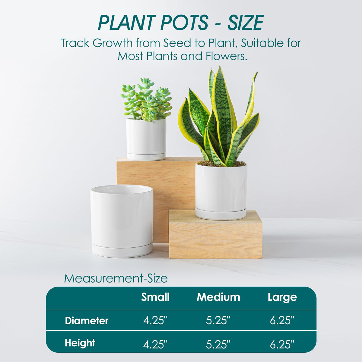 Vancasso indoor planters on a sunny windowsill for minimalist decor
