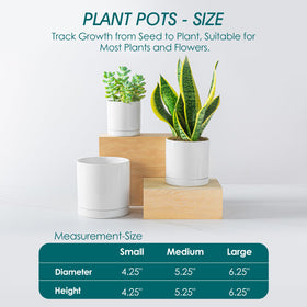 Vancasso indoor planters on a sunny windowsill for minimalist decor