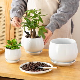 Vancasso planters with succulents arranged for stylish decor.