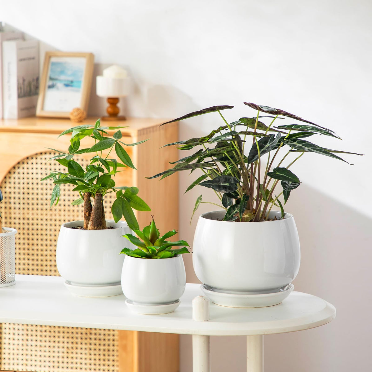 Vancasso planters with integrated saucers to protect surfaces.