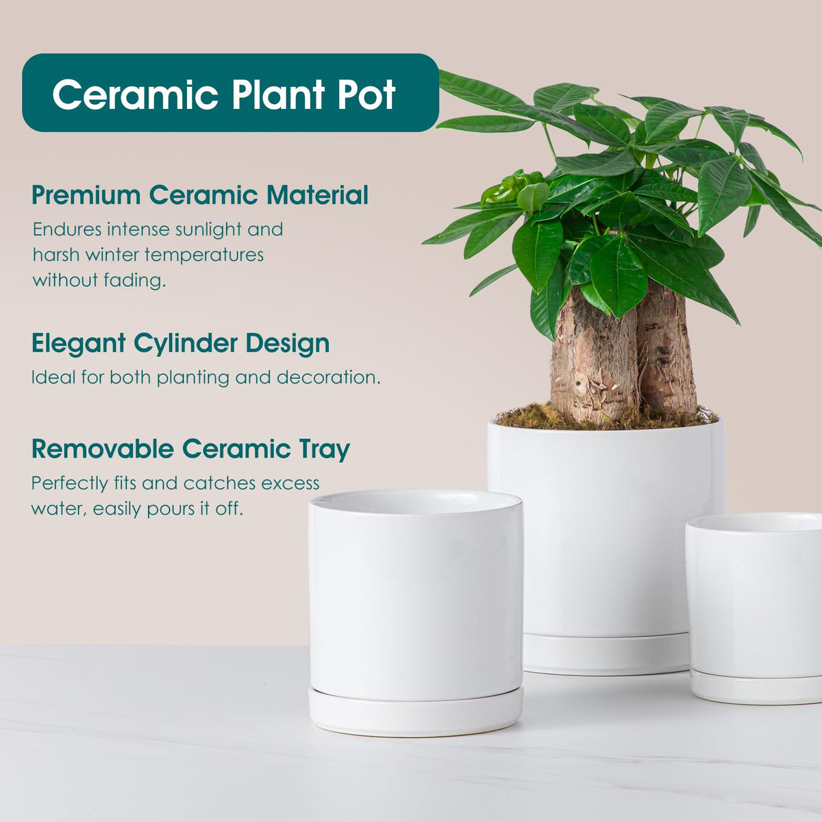 Vancasso high-fired ceramic finish highlights durable construction