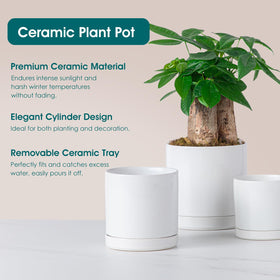 Vancasso high-fired ceramic finish highlights durable construction