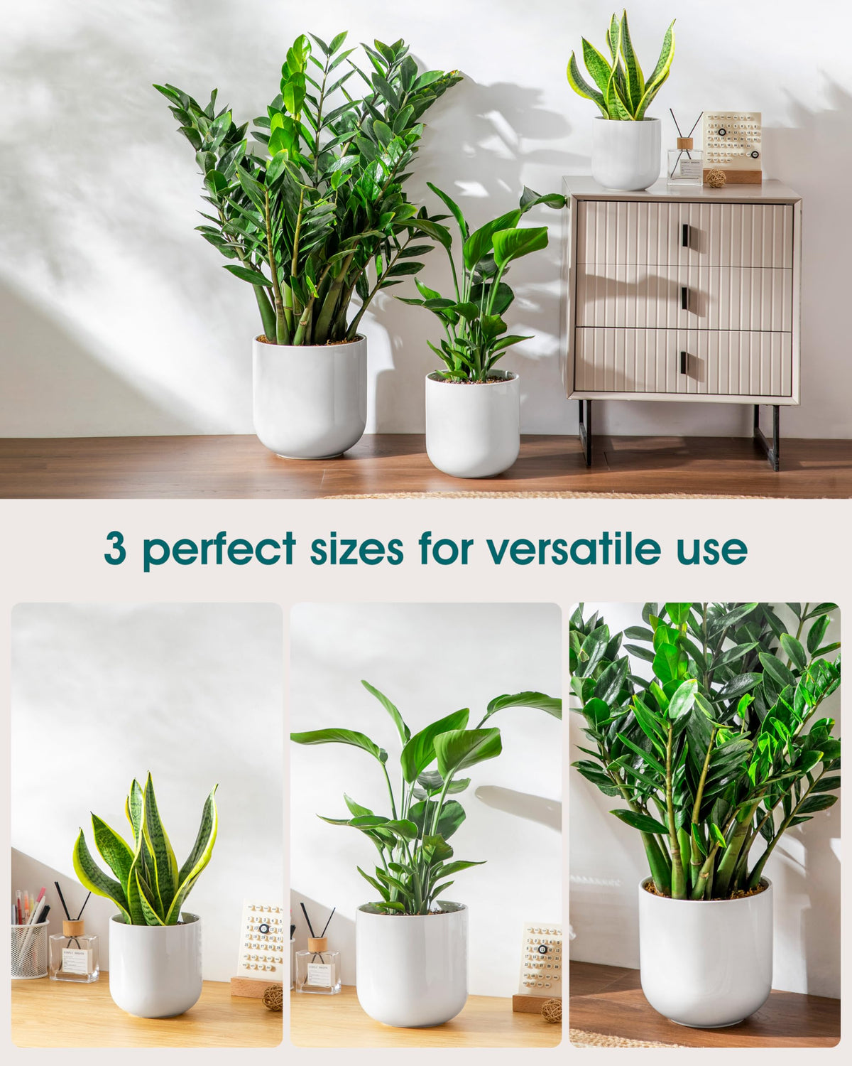 Minimalist white Vancasso ceramic pot enhances modern interior decor.