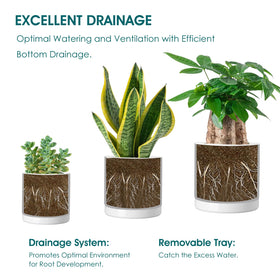 Vancasso drainage holes and tray system shown for mess-free watering